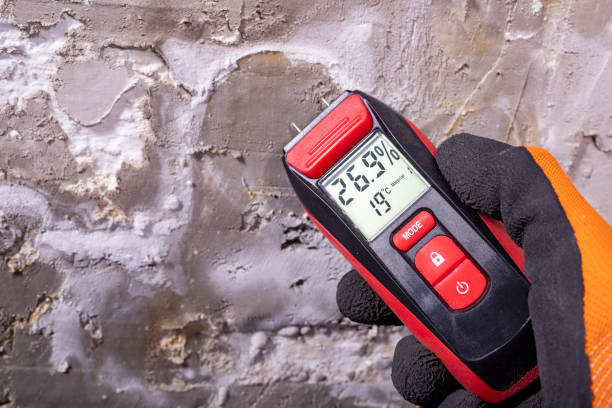Professional Mold Removal in Anoka, MN